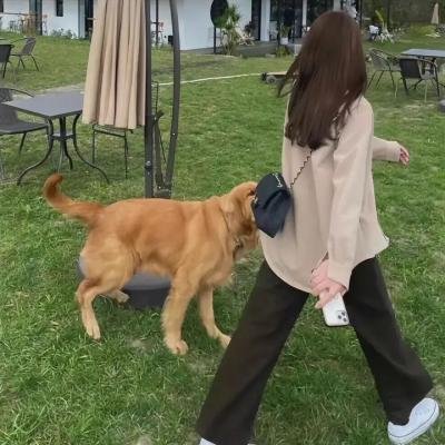 草莽双雄海报