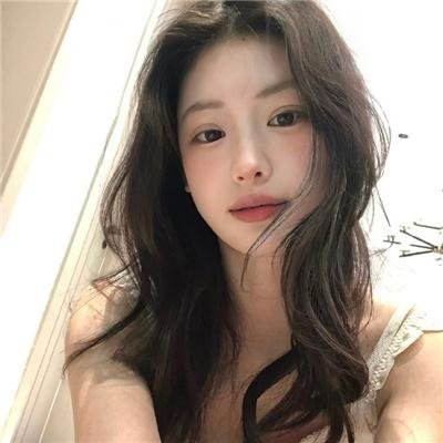 挎斗摩托车里的狗海报
